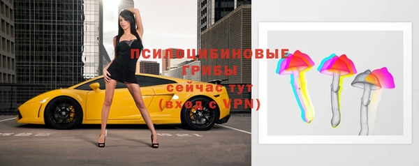 дмт Нягань