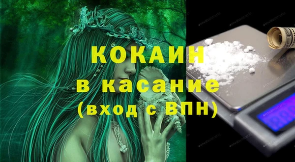 apvp Болотное