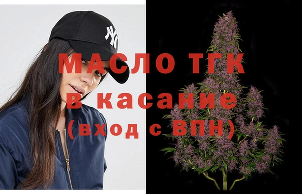 тгк Новодвинск