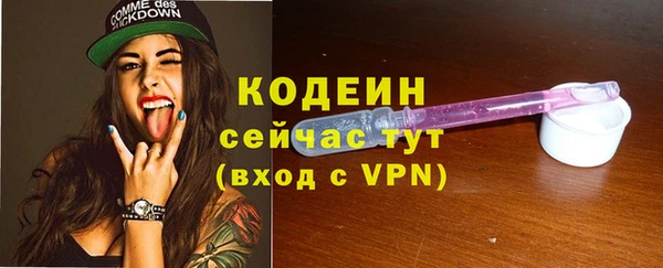 apvp Болотное