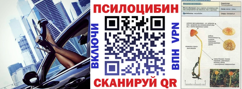 сайты даркнета клад  Покровск  Псилоцибиновые грибы прущие грибы  mega tor 